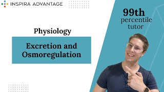 Physiology Excretion and Osmoregulation  MCAT Crash Course [upl. by Ahseken843]