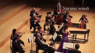 Antonio Vivaldi  Four Seasons Summer  Frederieke Saeijs [upl. by Pallas]