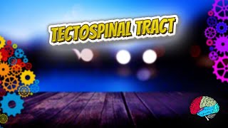 Tectospinal tract  Know It ALL 🔊✅ [upl. by Cori]