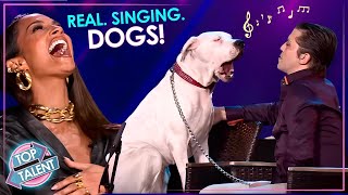 Can Dogs REALLY Sing [upl. by Hugues]