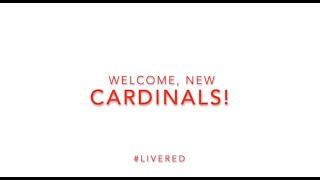 MCPHS Brain Cells  Welcome New Cardinals [upl. by Trimmer969]