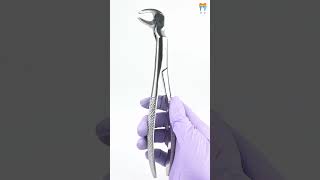 Waldent Tooth Extraction Forceps Lower Molars amp Wisdoms Left No2212L 1129 shorts shortvideo [upl. by Cob]