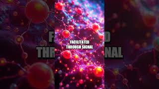 The Wonders of Cellular Communication [upl. by Shaum]