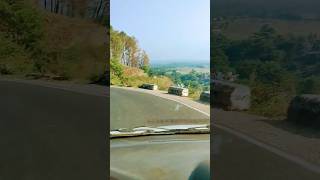 View at Tinbar Karori Road  Palampur  Kangra palampur kangra himachal shortsvideo shortsfeed [upl. by Edyak]