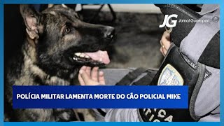 11092024  POLÍCIA MILITAR LAMENTA MORTE DO CÃO POLICIAL MIKE [upl. by Bowra334]