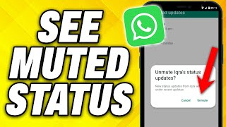 How To See Muted Status on WhatsApp Latest Update 2024 [upl. by Leland904]