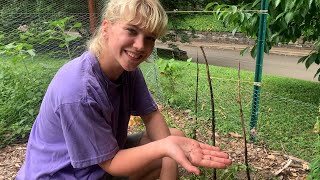 Gardeners Almanac Collecting Annual Flower Seeds [upl. by Annamaria]