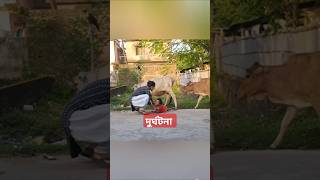 Bad Incident দুর্ঘটনা 😭😭 shorts Feeling Bad Youtube Shorts snsfamily4052 [upl. by Onifur]