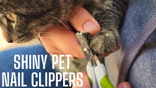 Perfect Nail Clippers for little claws [upl. by Eimat]