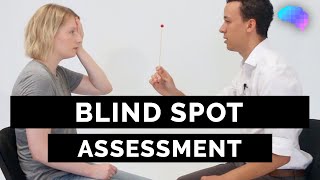 Blind Spot Assessment  OSCE Guide  UKMLA  CPSA [upl. by Nosnhoj]