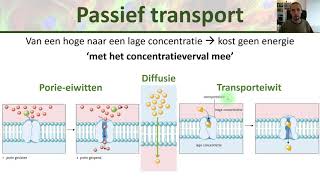 Membraantransport  actief passief endocytose en exocytose  Inleiding biologie 4 [upl. by Most]