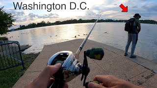 URBAN FLOOD FISHING in the TIDAL BASIN ft Reggie [upl. by Rednaeel]