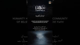 Surah AlBaqarah Verse 213 by Raad Muhammad AlKurdi quran islamicvideo ytshorts islamicstatus [upl. by Ahsoyek]