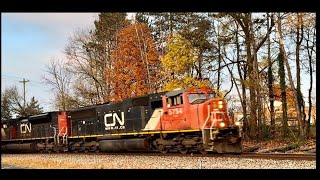 102824 CN Train 396 [upl. by Hnahk]