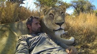 GoPro Lions  The New Endangered Species [upl. by Emelen987]