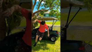 I Crashed My New Golf Cart [upl. by Chapa]