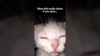 Slow this audio down if you dare funny memes viralclips viralshorts viralaudio viralvideo [upl. by Philomena837]