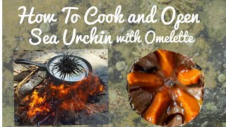 Cooking Sea Urchin  cooking in the nature episode 2 [upl. by Carbo]