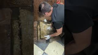 grease trap cleaning [upl. by Kelwunn]