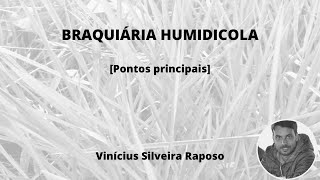 Braquiaria humidicola  Conceitos principais [upl. by Mulcahy]