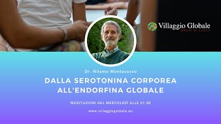 Dalla serotonina corporea allendorfina globale 09  13 Novembre 2024 [upl. by Attelocin763]