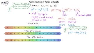 AcidBase Equilibrium 06 Autoionization of Water [upl. by Mercuri]