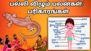 பல்லி விழும் பலன்கள்பரிகாரங்கள் Palli Vizhum Palangal Parigarangal [upl. by Assi405]