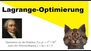 Wie wendet man Lagrange Optimierung an [upl. by Danforth]