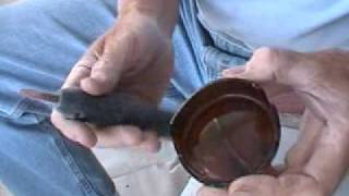 Flintknapping  Beginners part 4 [upl. by Bradshaw714]