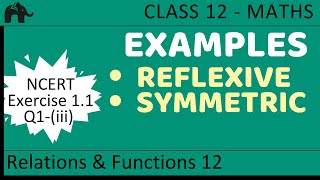 Maths Relations amp Functions part 12 Example Reflexive Symmetric CBSE class 12 Mathematics XII [upl. by Jeunesse]