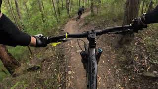 Ironbark Gully MTB  Whipsnake 060124 [upl. by Zosi]