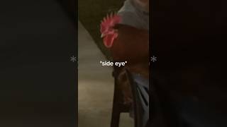 my brotherinlaws evil laughter 😂😭🥴 scared jumpscare rooster [upl. by Meldoh]