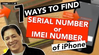 How To Find Serial Number or IMEI Number of iPhone [upl. by Renrag]