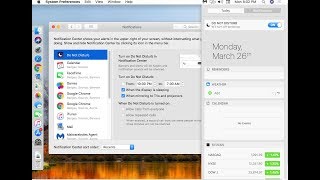 How to Turn Off All Annoying Notification in MacOS [upl. by Ahsilra182]