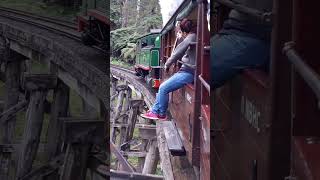 Puffing Billy  A Breathtaking Adventure Riding the Rails through the Dandenong Ranges  May 2017 [upl. by Subocaj]