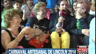 C5N  VERANO 2014 CARNAVAL ARTESANAL DE LINCOLN 2014 02022014 PARTE 2 [upl. by Henrique949]