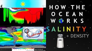 How The Ocean Works  Salinity [upl. by Odraboel]