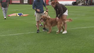 Cleveland Browns hosting party for Barking Backers Mike Polk Jr checks out the fun [upl. by Liban]