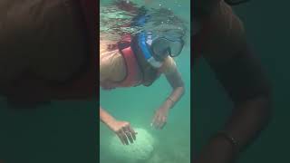 Snorkelling in Rameshwaram [upl. by Nivlag]