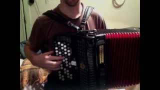 баян Фаринелли Юниор Button Accordion Farinelli Junior testmp4 [upl. by Ianaj]