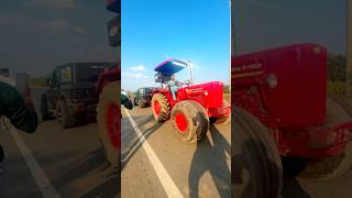 Rohit bhai kiMonster thar or bahdur gode ki tochan fight👹🙀shorts tractor shortvideo [upl. by Celestia990]