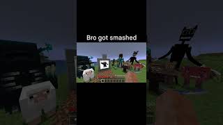 Minecraft Meme [upl. by Linet]