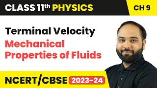 Terminal Velocity  Mechanical Properties of Fluids  Class 11 Physics Chapter 9  CBSE 202425 [upl. by Alan]