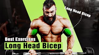 BEST LONG HEAD BICEP EXERCISES FOR MASSIVE ARMS [upl. by Ainek]