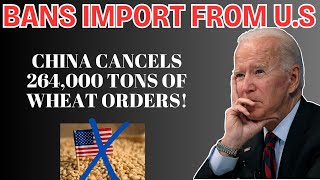 Massive Blow to US Agriculture China Cancels 264000 Tons of Wheat Orders [upl. by Eittol443]