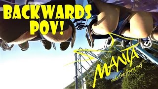 Manta SeaWorld Orlando BACKWARDS POV In HD [upl. by Oirtemed]