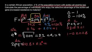 HardyWeinberg equation explained [upl. by Bohun995]