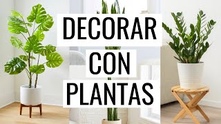 ✅ Las 10 mejores PLANTAS DE INTERIOR PARA DECORAR tu hogar 🌿 PURIFICAN AIRE  CUIDADO [upl. by Nalniuq716]