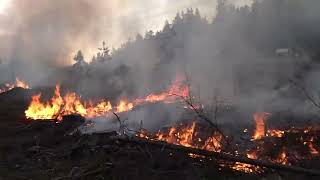 Großer Waldbrand im Landkreis Hof [upl. by Gurney20]