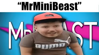 MrMiniBeast [upl. by Jestude]